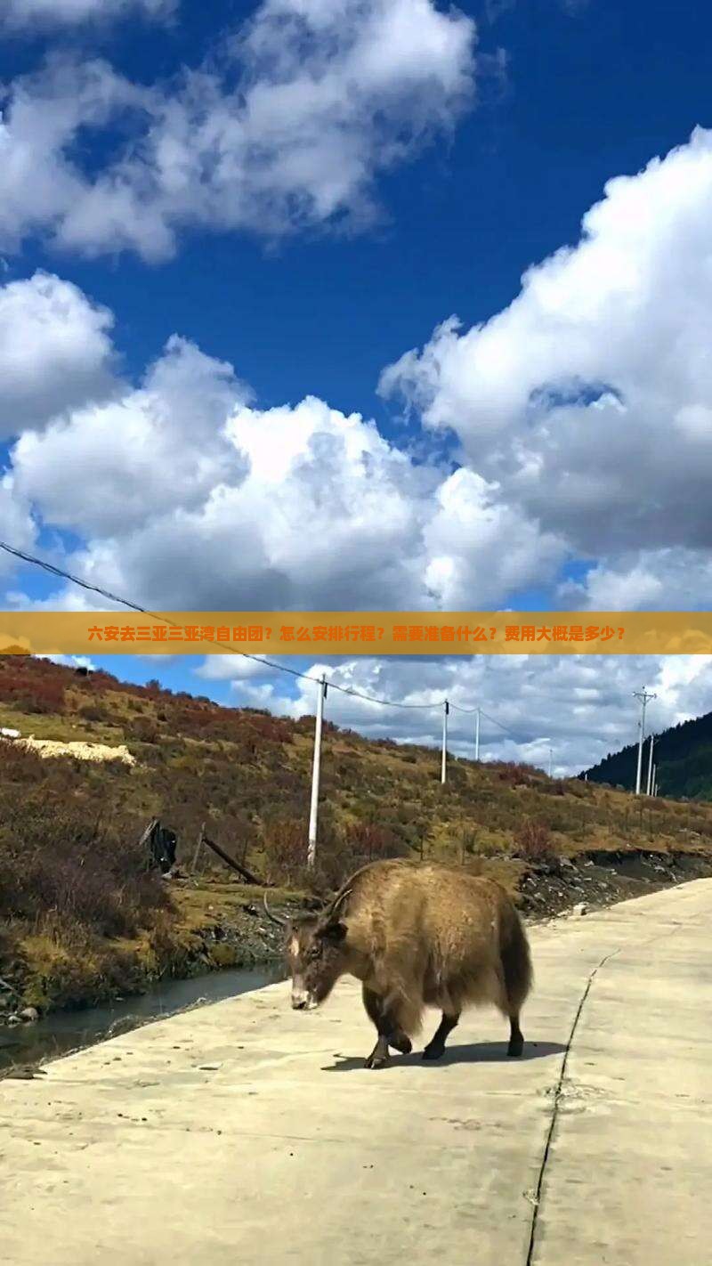 六安去三亚三亚湾自由团？怎么安排行程？需要准备什么？费用大概是多少？