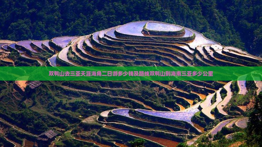 双鸭山去三亚天涯海角二日游多少钱及路线双鸭山到海南三亚多少公里