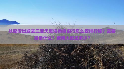 从临沂出发去三亚天涯海角自由行怎么安排行程？需要准备什么？费用大概是多少？