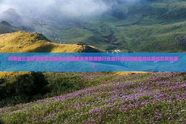 铜陵去三亚呀诺达景区旅游小吃美食海南旅游旅行自由行游玩攻略看完这篇信息就知道了