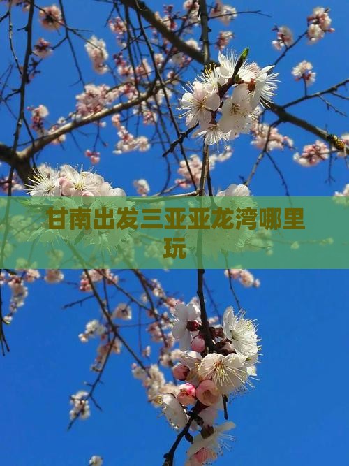 甘南出发三亚亚龙湾哪里玩