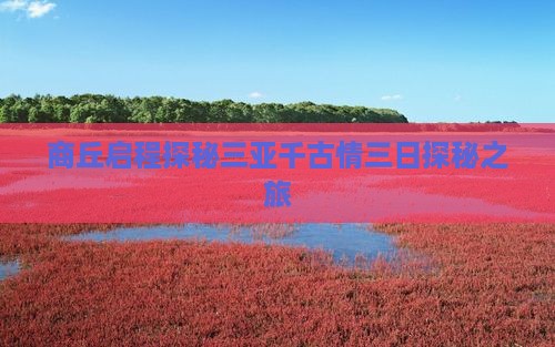 商丘启程探秘三亚千古情三日探秘之旅