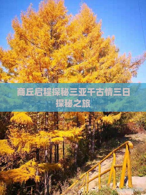 商丘启程探秘三亚千古情三日探秘之旅