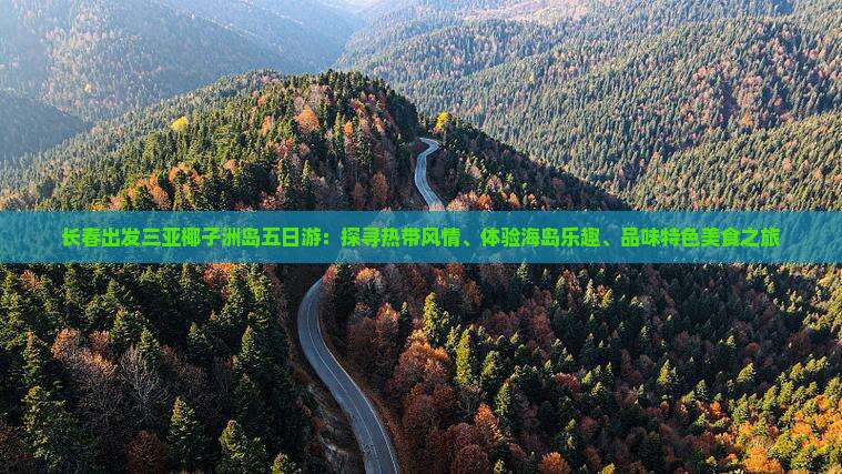 长春出发三亚椰子洲岛五日游：探寻热带风情、体验海岛乐趣、品味特色美食之旅