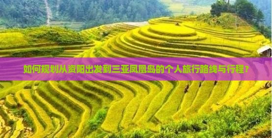 如何规划从资阳出发到三亚凤凰岛的个人旅行路线与行程？