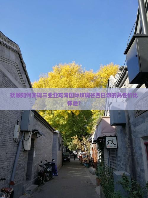 抚顺如何实现三亚亚龙湾国际玫瑰谷四日游的高性价比体验？