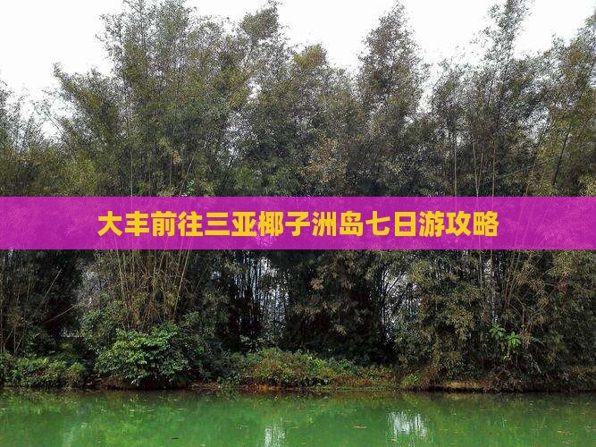大丰前往三亚椰子洲岛七日游攻略