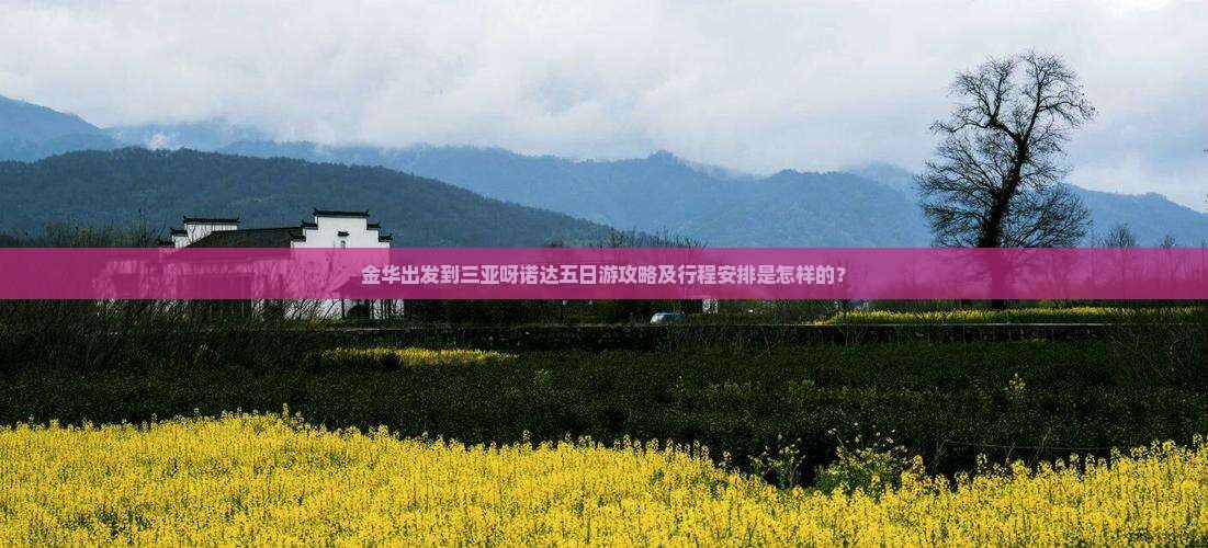金华出发到三亚呀诺达五日游攻略及行程安排是怎样的？