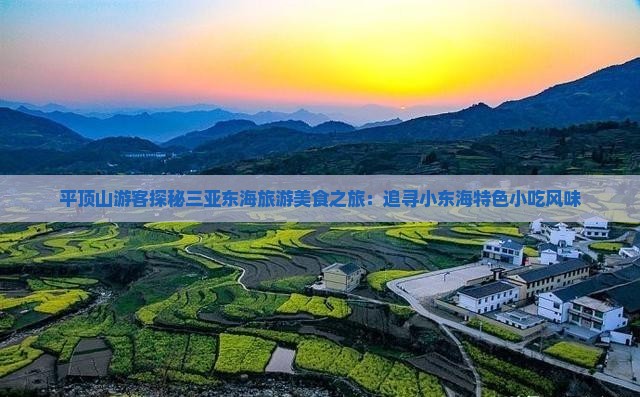 平顶山游客探秘三亚东海旅游美食之旅：追寻小东海特色小吃风味