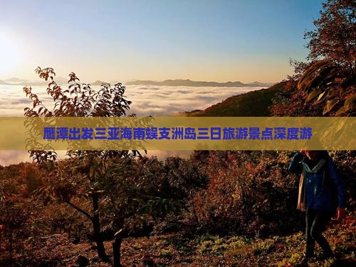 鹰潭出发三亚海南蜈支洲岛三日旅游景点深度游