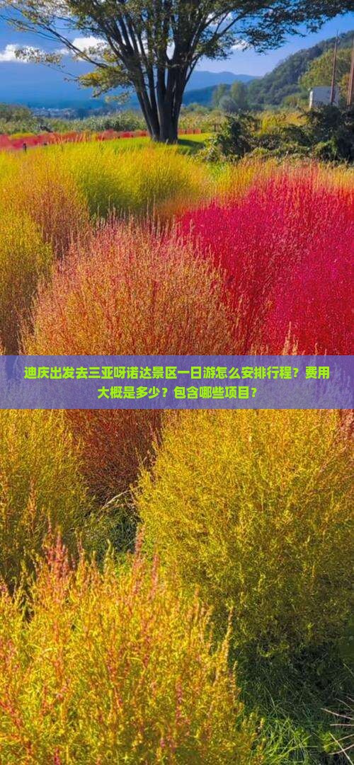 迪庆出发去三亚呀诺达景区一日游怎么安排行程？费用大概是多少？包含哪些项目？