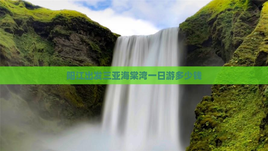 阳江出发三亚海棠湾一日游多少钱