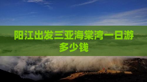 阳江出发三亚海棠湾一日游多少钱