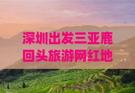 深圳出发三亚鹿回头旅游网红地点攻略推荐