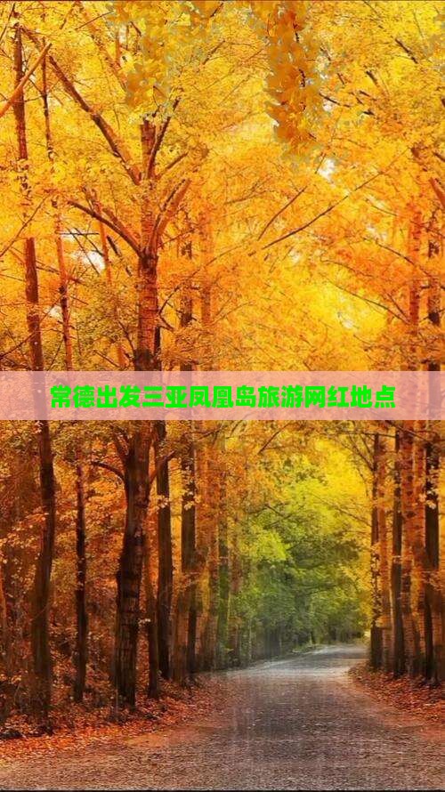 常德出发三亚凤凰岛旅游网红地点