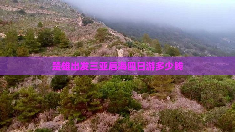 楚雄出发三亚后海四日游多少钱