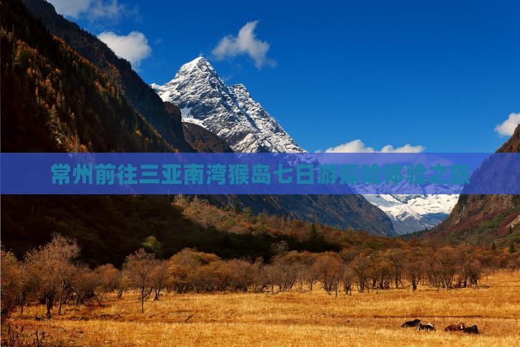 常州前往三亚南湾猴岛七日游探险体验之旅