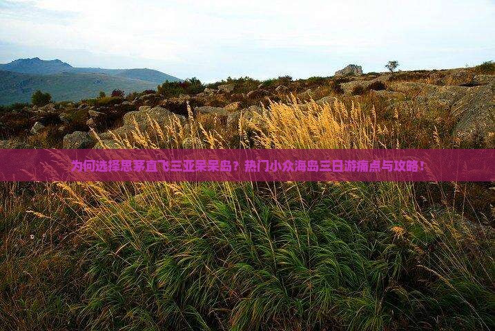 为何选择思茅直飞三亚呆呆岛？热门小众海岛三日游痛点与攻略！