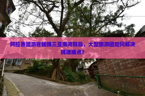 阿拉善盟游客蜂拥三亚南湾猴岛，大型旅游团如何解决拥堵痛点？