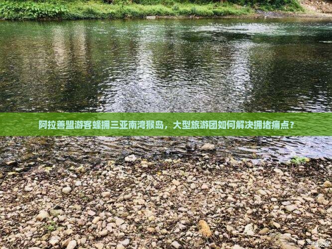 阿拉善盟游客蜂拥三亚南湾猴岛，大型旅游团如何解决拥堵痛点？