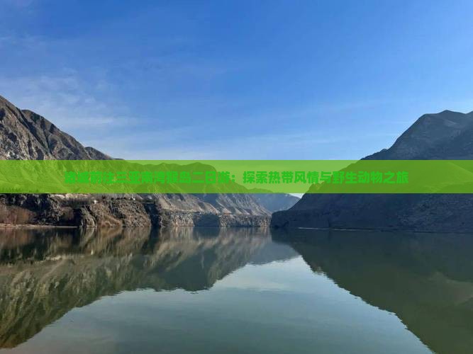 诸城前往三亚南湾猴岛二日游：探索热带风情与野生动物之旅