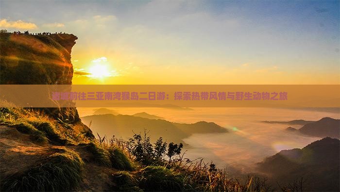 诸城前往三亚南湾猴岛二日游：探索热带风情与野生动物之旅