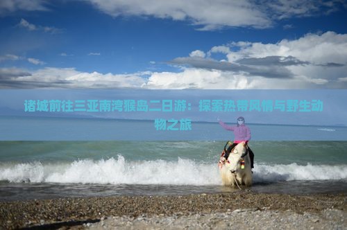 诸城前往三亚南湾猴岛二日游：探索热带风情与野生动物之旅