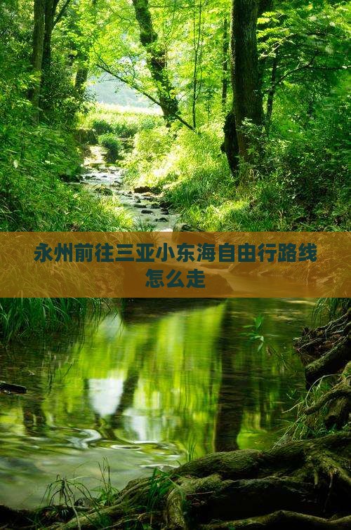 永州前往三亚小东海自由行路线怎么走
