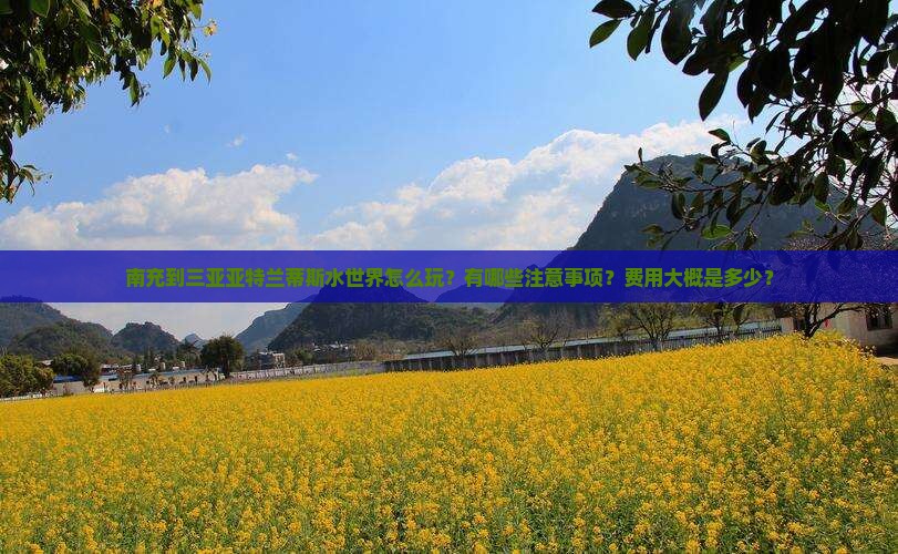 南充到三亚亚特兰蒂斯水世界怎么玩？有哪些注意事项？费用大概是多少？