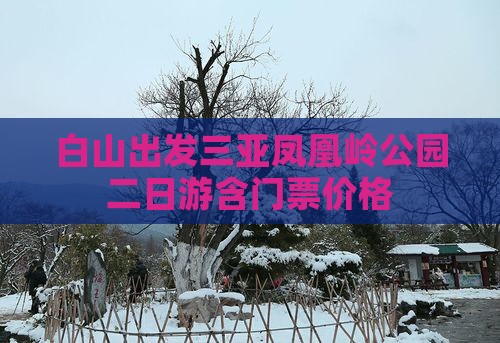 白山出发三亚凤凰岭公园二日游含门票价格