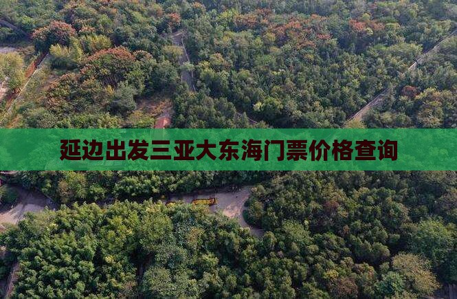 延边出发三亚大东海门票价格查询