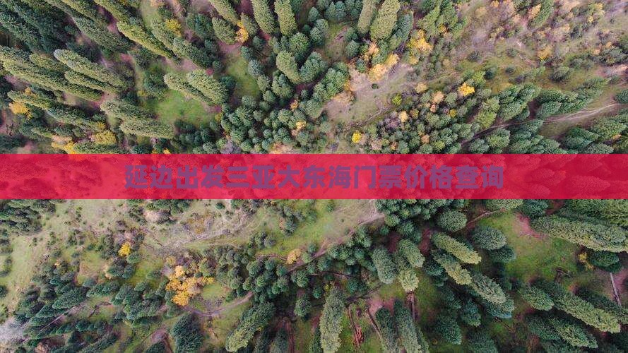 延边出发三亚大东海门票价格查询
