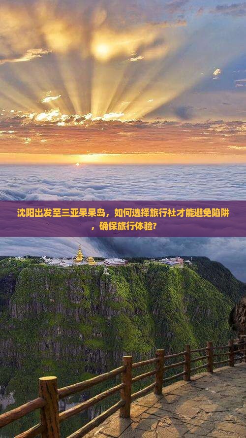 沈阳出发至三亚呆呆岛，如何选择旅行社才能避免陷阱，确保旅行体验?