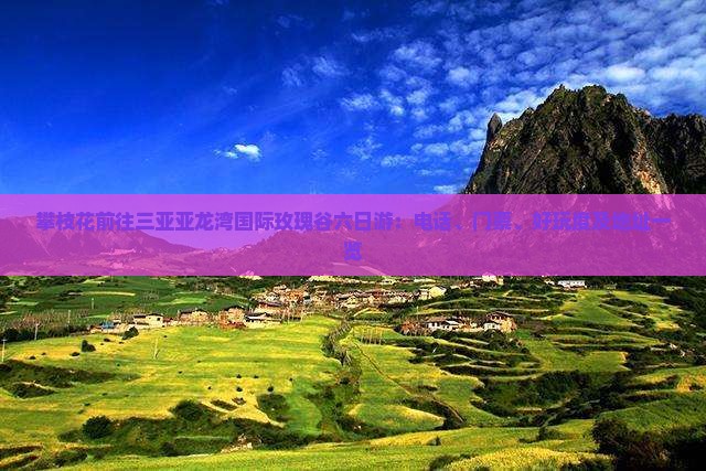 攀枝花前往三亚亚龙湾国际玫瑰谷六日游：电话、门票、好玩度及地址一览