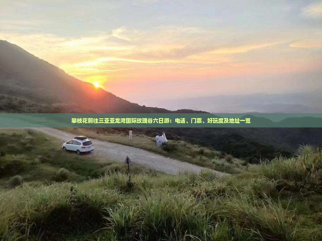 攀枝花前往三亚亚龙湾国际玫瑰谷六日游：电话、门票、好玩度及地址一览