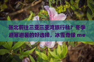 张北前往三亚三亚湾旅行社?冬季避寒避暑的好选择,冰雪奇缘 meets 椰风海韵 张北前往三亚三亚湾旅行社?冬季避寒避暑的好选择,冰雪奇缘 meets 椰风海韵