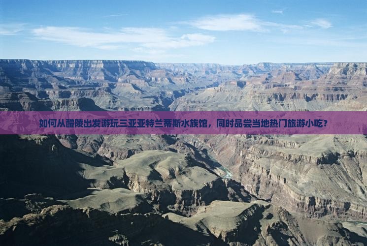 如何从醴陵出发游玩三亚亚特兰蒂斯水族馆，同时品尝当地热门旅游小吃？