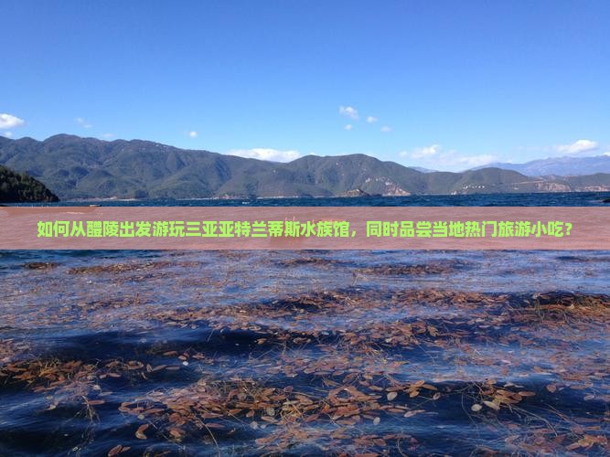 如何从醴陵出发游玩三亚亚特兰蒂斯水族馆，同时品尝当地热门旅游小吃？