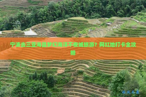 宁波去三亚海昌梦幻海洋不夜城旅游？网红地打卡全攻略