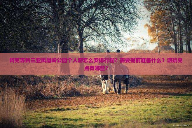 阿克苏到三亚凤凰岭公园个人游怎么安排行程？需要提前准备什么？游玩亮点有哪些？
