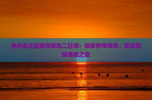 池州去三亚南湾猴岛二日游：探索热带风情、观赏猕猴奇趣之旅