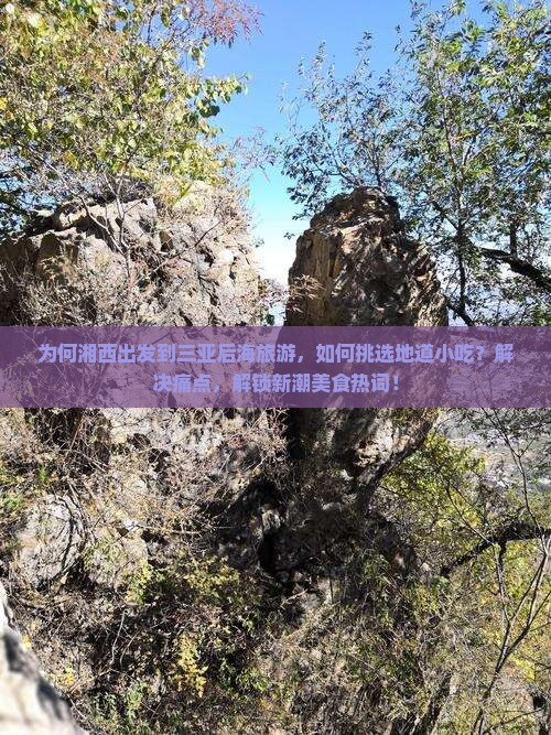 为何湘西出发到三亚后海旅游，如何挑选地道小吃？解决痛点，解锁新潮美食热词！
