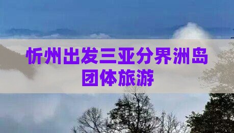 忻州出发三亚分界洲岛团体旅游