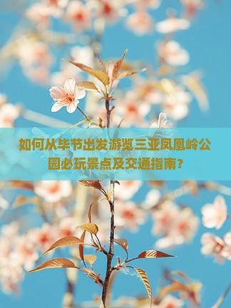 如何从毕节出发游览三亚凤凰岭公园必玩景点及交通指南？