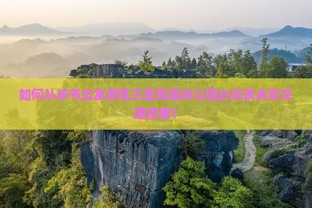 如何从毕节出发游览三亚凤凰岭公园必玩景点及交通指南？