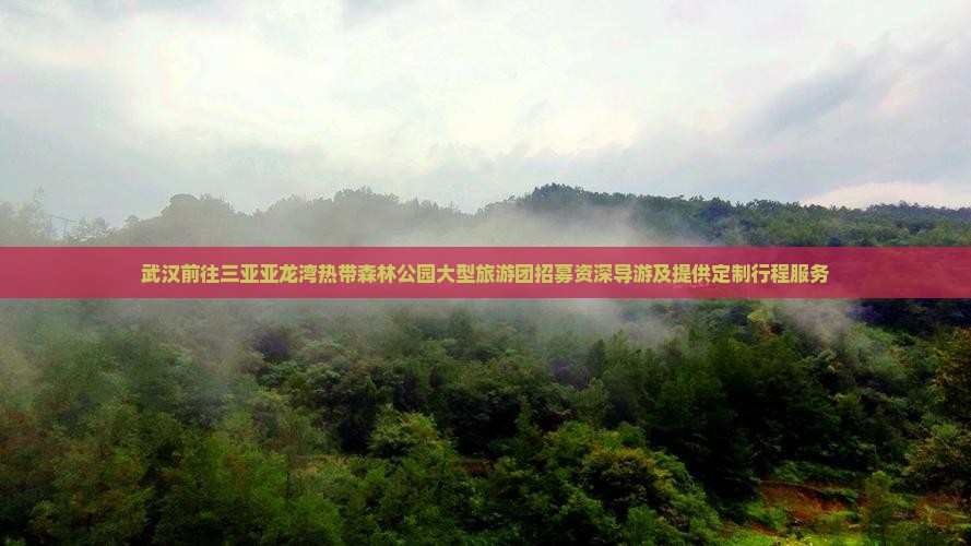 武汉前往三亚亚龙湾热带森林公园大型旅游团招募资深导游及提供定制行程服务