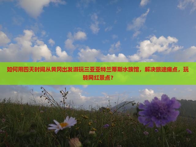 如何用四天时间从黄冈出发游玩三亚亚特兰蒂斯水族馆，解决旅途痛点，玩转网红景点？