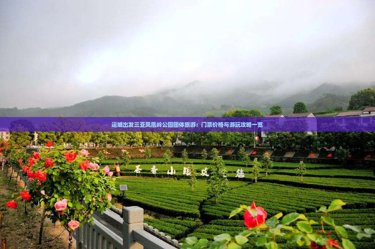 运城出发三亚凤凰岭公园团体旅游：门票价格与游玩攻略一览
