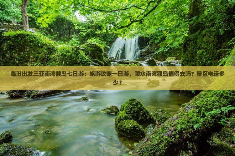 临汾出发三亚南湾猴岛七日游：旅游攻略一日游，陵水南湾猴岛值得去吗？景区电话多少？