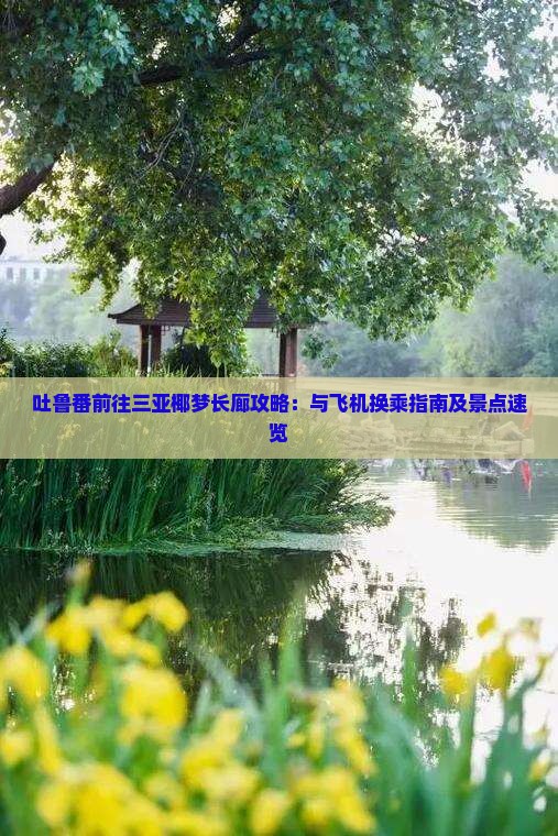 吐鲁番前往三亚椰梦长廊攻略：与飞机换乘指南及景点速览